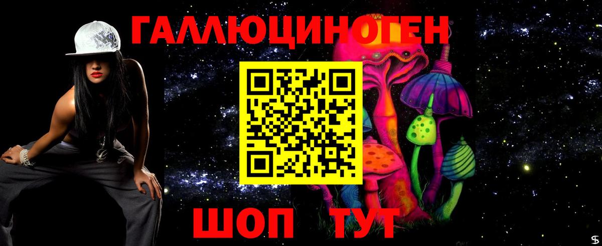 Галлюциногенные грибы Psilocybe  Вход с VPN  Ишим  Галлюциногенные грибы Psilocybe 